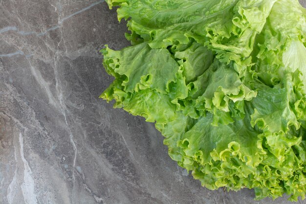 Hojas de lechuga fresca sobre fondo blanco. Foto de alta calidad