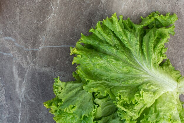 Hojas de lechuga fresca sobre fondo blanco.