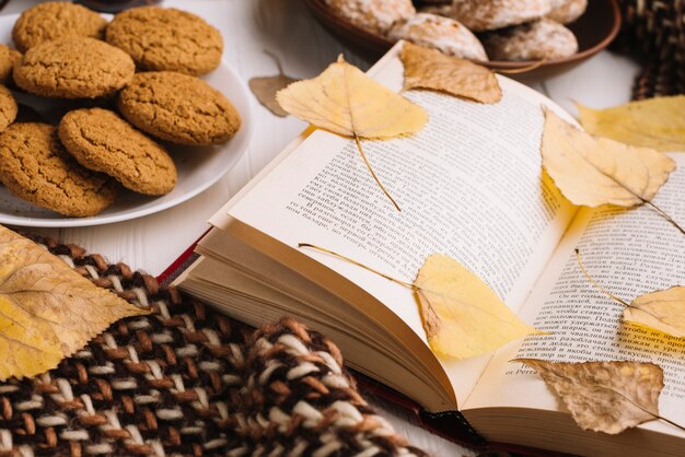 Hojas en libro y bufanda cerca de postres