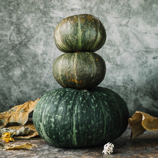 Hojas de otoño alrededor de calabazas