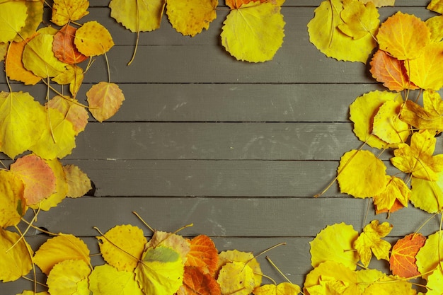 Hojas de otoño coloridas sobre fondo de madera con espacio de copia