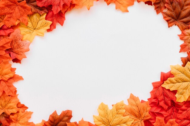 Hojas de otoño en composición de marco redondeado