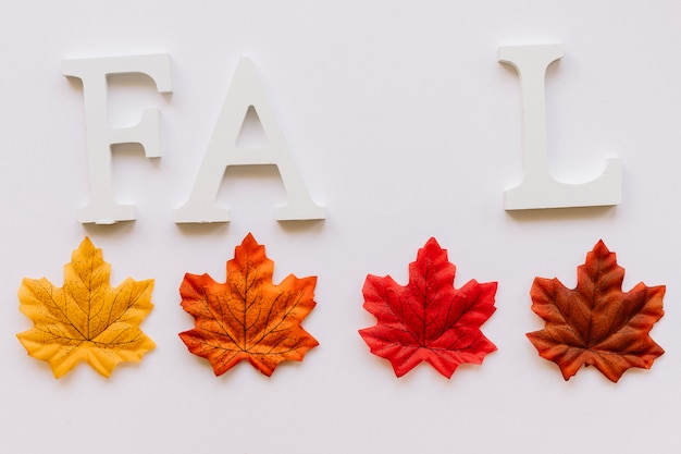 Las hojas de otoño y el concepto de otoño de la muestra