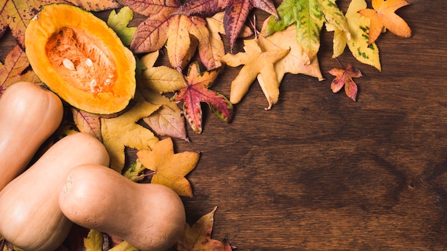 Hojas de otoño y espacio de copia de calabaza de mantequilla