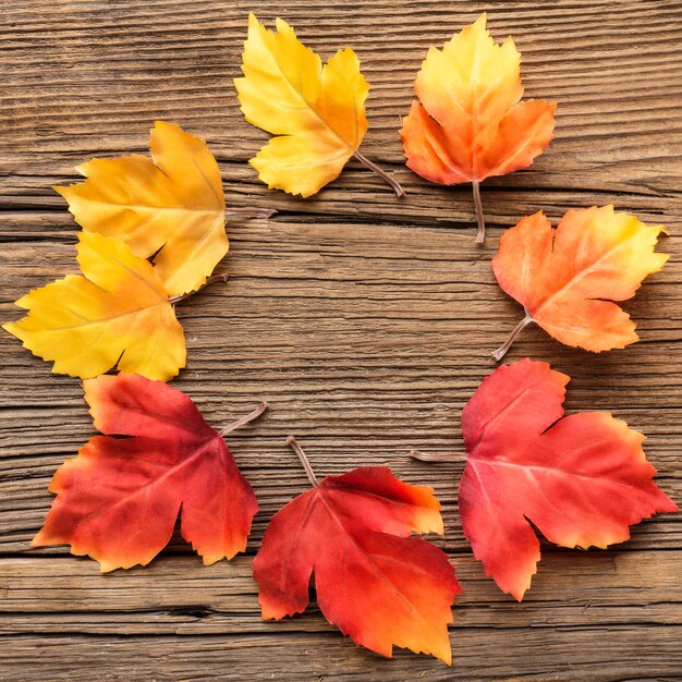 Hojas de otoño en forma de círculo