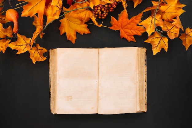 Hojas de otoño y libro viego