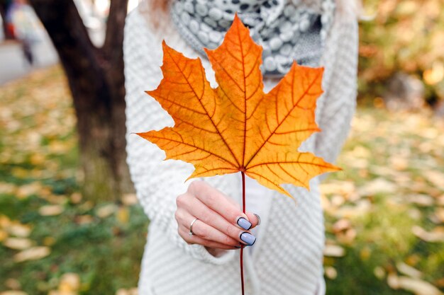 Hojas de otoño en manos de mujer