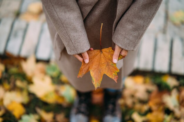 Hojas de otoño en manos de la niña.