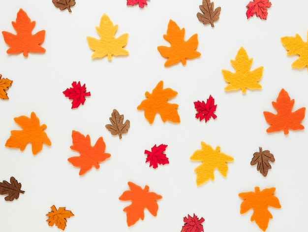 Hojas de otoño planas sobre fondo blanco