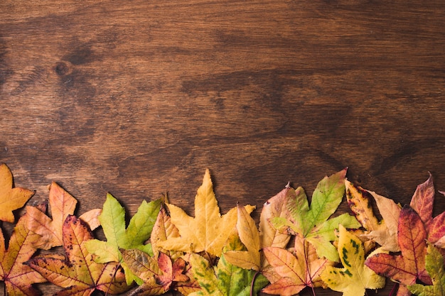 Hojas de otoño planas sobre fondo de madera