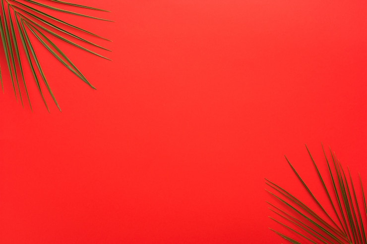 Foto gratuito hojas de palma en la esquina de fondo rojo brillante
