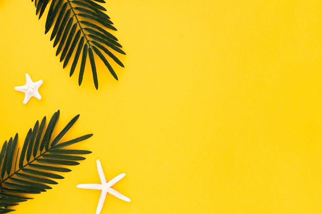 Hojas de palma con estrellas de mar sobre fondo amarillo