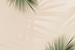 Foto gratuita hojas de palma frescas en beige