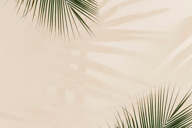 Hojas de palma frescas en beige
