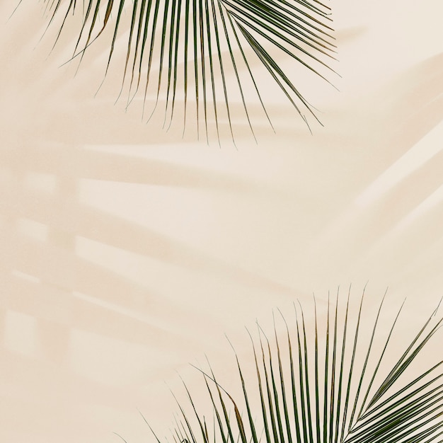 Hojas de palma frescas sobre fondo beige
