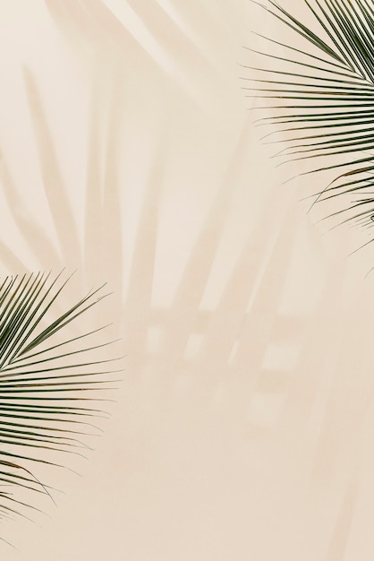 Foto gratuita hojas de palma frescas sobre fondo beige
