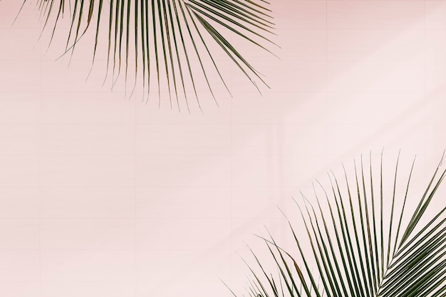Foto gratuita hojas de palma frescas sobre fondo rosa