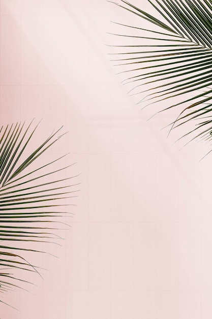 Hojas de palma frescas sobre fondo rosa