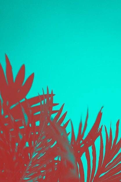 Foto gratuita hojas de palmera roja sobre fondo turquesa