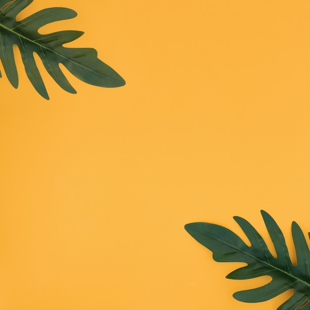 Hojas de palmeras tropicales sobre fondo amarillo. Concepto de verano