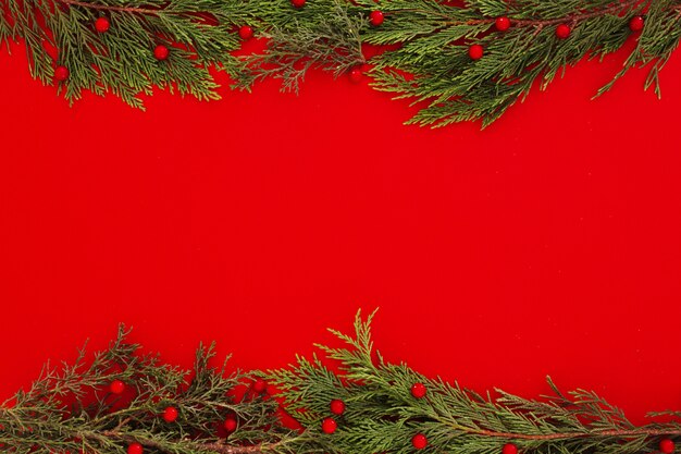 Hojas de pino de Navidad sobre un fondo de marco rojo con copyspace