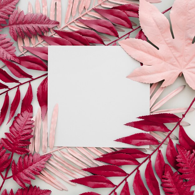 hojas rosadas teñidas sobre fondo blanco con un marco en blanco
