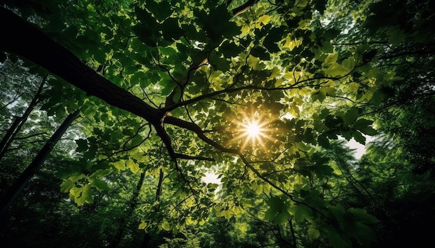 Las hojas verdes brillan a la luz del sol, la belleza de la naturaleza generada por IA