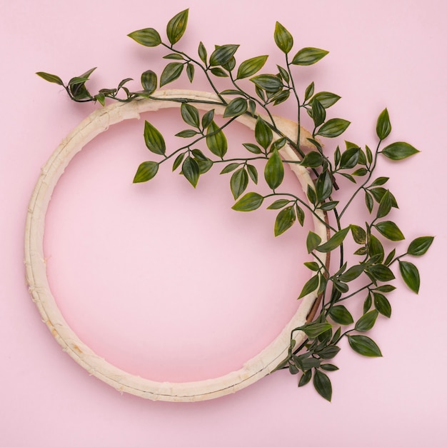 Hojas verdes decoradas en marco de círculo vacío de madera con fondo rosa