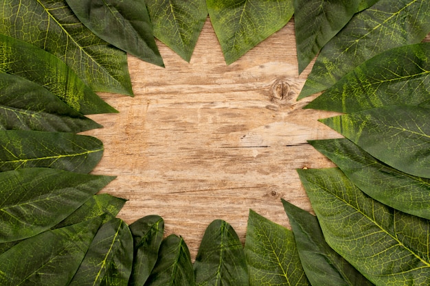 Foto gratuita hojas verdes dispuestas sobre un fondo marrón de madera