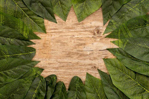 Hojas verdes dispuestas sobre un fondo marrón de madera