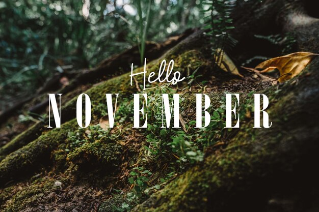 Hola composición de noviembre con bosque.