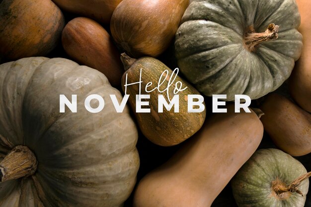 Hola composición de noviembre con calabazas.