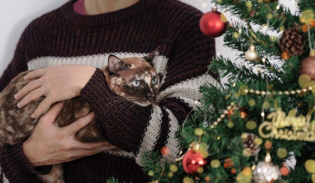 Hombre abrazo gato con fondo de árbol de Navidad Feliz año nuevo y feliz Navidad