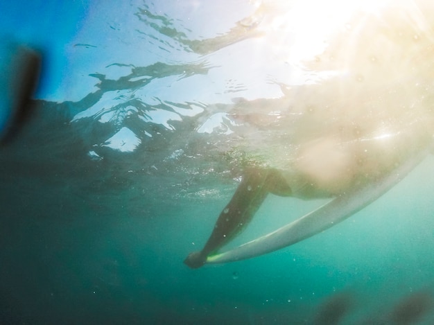 Hombre acostado en la tabla de surf en agua azul