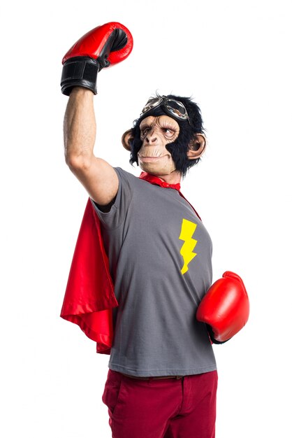 Hombre afortunado del mono del super héroe con los guantes de boxeo
