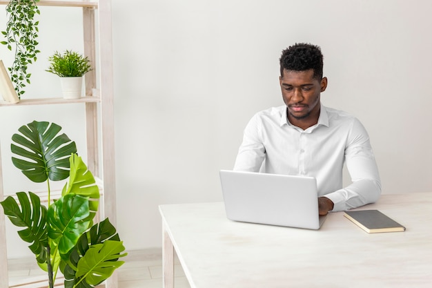 Hombre afroamericano trabajando y planta monstera