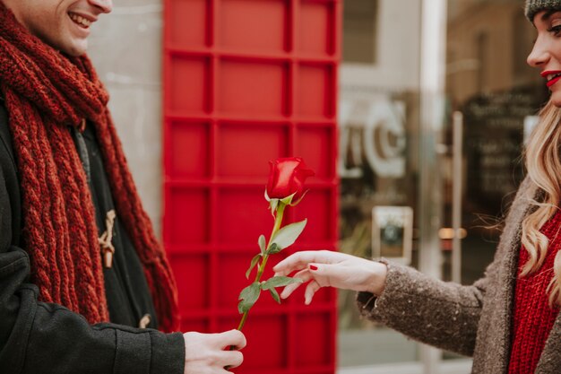 Hombre alegre de cultivos dando rosa a mujer