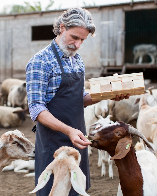 Hombre alimentando animales