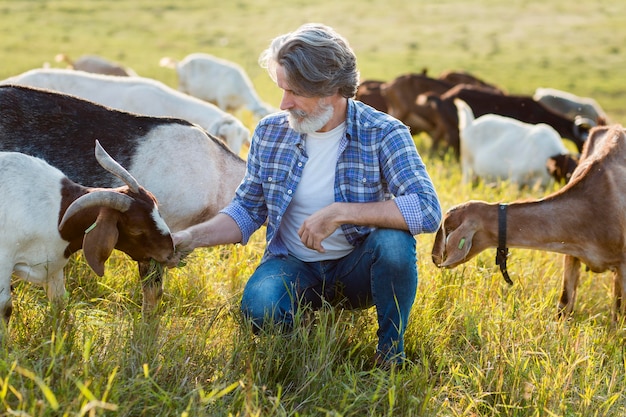 Foto gratuita hombre de alto ángulo de pie en medio de cabras