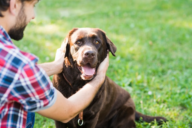 Hombre amando a su perro en el jardín