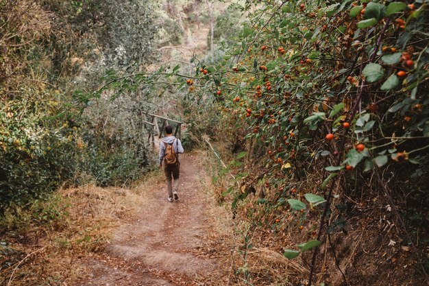 Hombre andando en bosque