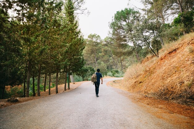 Hombre andando en camino en bosque