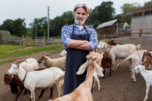 Hombre de ángulo bajo alimentando cabras