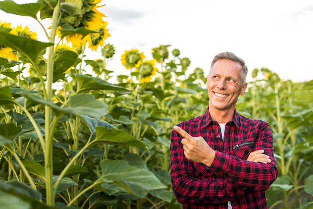 Hombre apuntando a un girasol