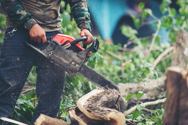 Hombre asiático cortando árboles usando una motosierra eléctrica