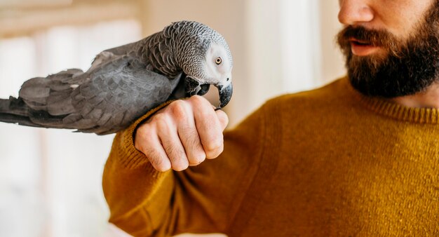 Hombre barbudo acariciando lindo pájaro