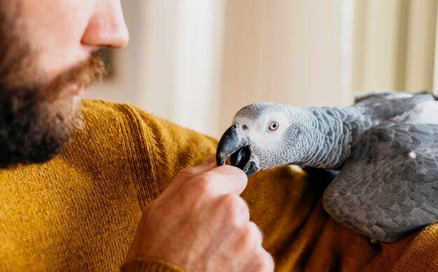 Hombre barbudo acariciando lindo pájaro