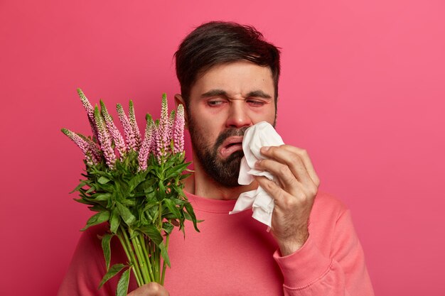 El hombre barbudo disgustado molesto mira la planta que causa una reacción alérgica, se frota y se suena la nariz con un pañuelo, posa contra la pared rosada. Concepto de alergia, síntomas y enfermedad estacional