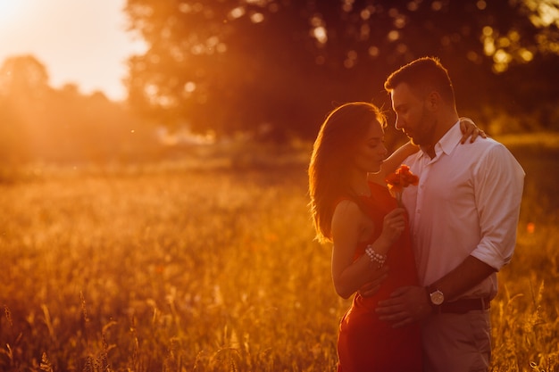 El hombre barbudo hermoso abraza a la mujer en la situación roja de la oferta del vestido en campo de oro del verano