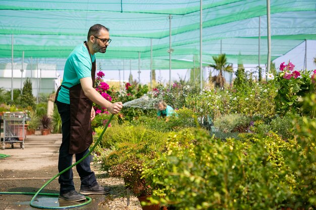 Hombre barbudo sosteniendo la manguera, de pie y regando las plantas. Colega borrosa irreconocible creciendo flores. Dos jardineros vestidos de uniforme y trabajando en invernadero. Actividad de jardinería y concepto de verano.